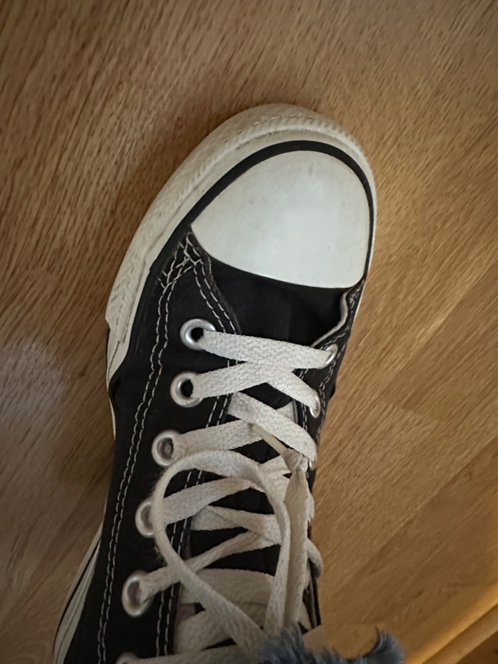 Converse Black High Top Canvas Sneakers with White Trim - Picture 13 of 16
